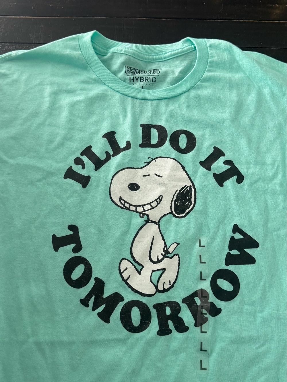 Kids' Snoopy 'I'll Do It Tomorrow' Graphic Tee - Mint